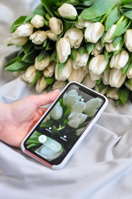A close-up of a hand holding a smartphone that is capturing a photo of a bouquet of fresh white tulips with green stems and leaves. The bouquet is arranged in a casual, natural style and placed on a s