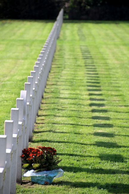 A small floral tribute featuring red and green foliage, positioned at the base of a white-painted picket fence on a well-maintained grassy area within Fairlands Valley Park Stevenage. The bouquet is w