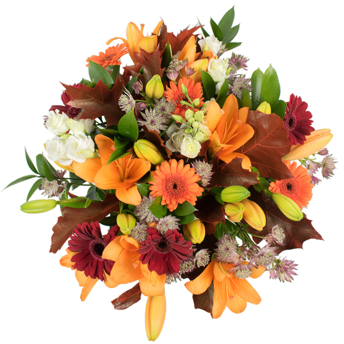 Seen from a slightly elevated viewpoint on a pristine white field, this lush autumn bouquet is a study in warm saturation and botanical variety, hand-crafted with compositional care by Flowers Stevenage. At its heart are several fully opened orange Asiatic lilies, their trumpet forms and smooth petals commanding attention, surrounded by numerous tight lily buds in green and pale orange that promise unfolding life. Bright orange and deep burgundy Gerbera daisies punctuate the mass with cheerful, round faces and dark centres, complementing the lilies' sculptural drama. Cream-coloured lisianthus provide soft, ruffled relief and a whisper of elegance, while muted-purple Astrantia introduces an almost lace-like, spiky texture that plays across the bouquet's surface. Interwoven are large, lobed leaves in rich reddish-brown tones-oak-like and autumn-stained-that give the arrangement a seasonal silhouette and a sense of gathered harvest. Fresh green foliage and slender stems add structure and a lively contrast, keeping the composition feeling natural and garden-fresh. The bouquet is tightly packed into a full, rounded shape that reads as abundant and very fresh; the bright studio lighting highlights surface textures and subtle colour gradations, making each petal and vein crisp and tactile. The overall impression is warm, celebratory, and comforting-a perfect visual for Thanksgiving centrepieces, autumn wedding tables, or as a heartfelt gift to uplift a friend in Stevenage, whether delivered to a home near the town centre or to an office close to Fairlands Valley Park.