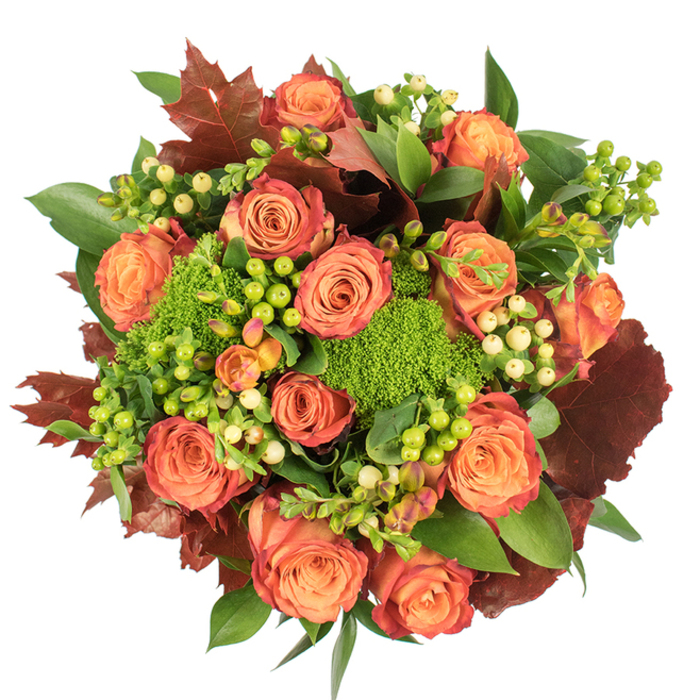 Seen from above, this abundant, circular bouquet reads like an autumn tapestry: numerous fully bloomed roses command the centre with petals that graduate from a soft, warm orange at the core to deeper coral and russet hues toward the edges, producing a natural ombré effect. Intermingled among these roses are groups of glossy Hypericum berries-some chartreuse-lime, others a pale creamy yellow-whose small, rounded forms add delicate contrast and visual rhythm. Densely clustered Green Trick dianthus provides a plush, mossy texture, resembling miniature green cushions that offset the roses' smooth surfaces. Deep, rustic leaves in shades of burgundy and burnt red are dispersed thoughtfully throughout the composition, echoing the colours of fallen leaves and strengthening the bouquet's autumnal narrative. Fresh green foliage, some broad and shiny, fills and softens the spaces, creating an overall sense of lush abundance. The arrangement is photographed on a stark white background with soft, diffuse light that reveals velvety petal textures and subtle shadows, lending depth and warmth without harsh contrasts. As a seasoned florist in Stevenage, I would place this arrangement as a Thanksgiving centrepiece or a thoughtful seasonal gift for a neighbour in the Old Town or near the Town Centre; it evokes harvest, gratitude, and cosy gatherings. The blend of warm peach, vivid orange, deep red-brown, and multiple greens is deliberately layered to create an inviting, tactile display that celebrates the comforts and colours of fall.