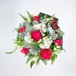 A vibrant, full bouquet is photographed from directly above against a brilliant white background, so every colour and texture stands out crisply. At the heart of the design, large hot pink carnations with deeply ruffled petals form generous, frilled cushions of colour, their edges casting tiny shadows that give the arrangement a rich sense of depth. Nestled between them are deep pink and fuchsia roses, some fully open to reveal elegant spiral centres, others still in bud, suggesting blossoms that will unfurl over the next day or two in a living display. Threaded throughout the bouquet are clusters of petite white spray chrysanthemums or daisy-like blooms, their neat, ray-like petals creating soft, rounded mounds of brightness. Wispy stems of white baby's breath drift between the larger flowers, adding a cloud-like lightness, while a few elongated white buds, likely alstroemeria or a lily-type bloom, pierce gently upwards with a feeling of purity and grace. Surrounding this joyful mix is an abundance of greenery: rounded, silvery-green eucalyptus leaves provide a cool, almost frosted contrast, while long, vivid green blades of foliage arc around the flowers. At the very edge, darker, broad leaves-arranged like folded aspidistra-form a structured collar, framing the bouquet in a polished, contemporary ring. The overall mood is festive yet tender, like a burst of celebration on a fresh spring morning in Stevenage, perhaps echoing the cheerful atmosphere of Fairlands Valley Park in bloom. This arrangement feels perfect for sending congratulations, sharing love, or simply brightening a loved one's home, its imagined scent light and fresh, as though it has just arrived from a local florist's studio ready for same-day delivery across the town.